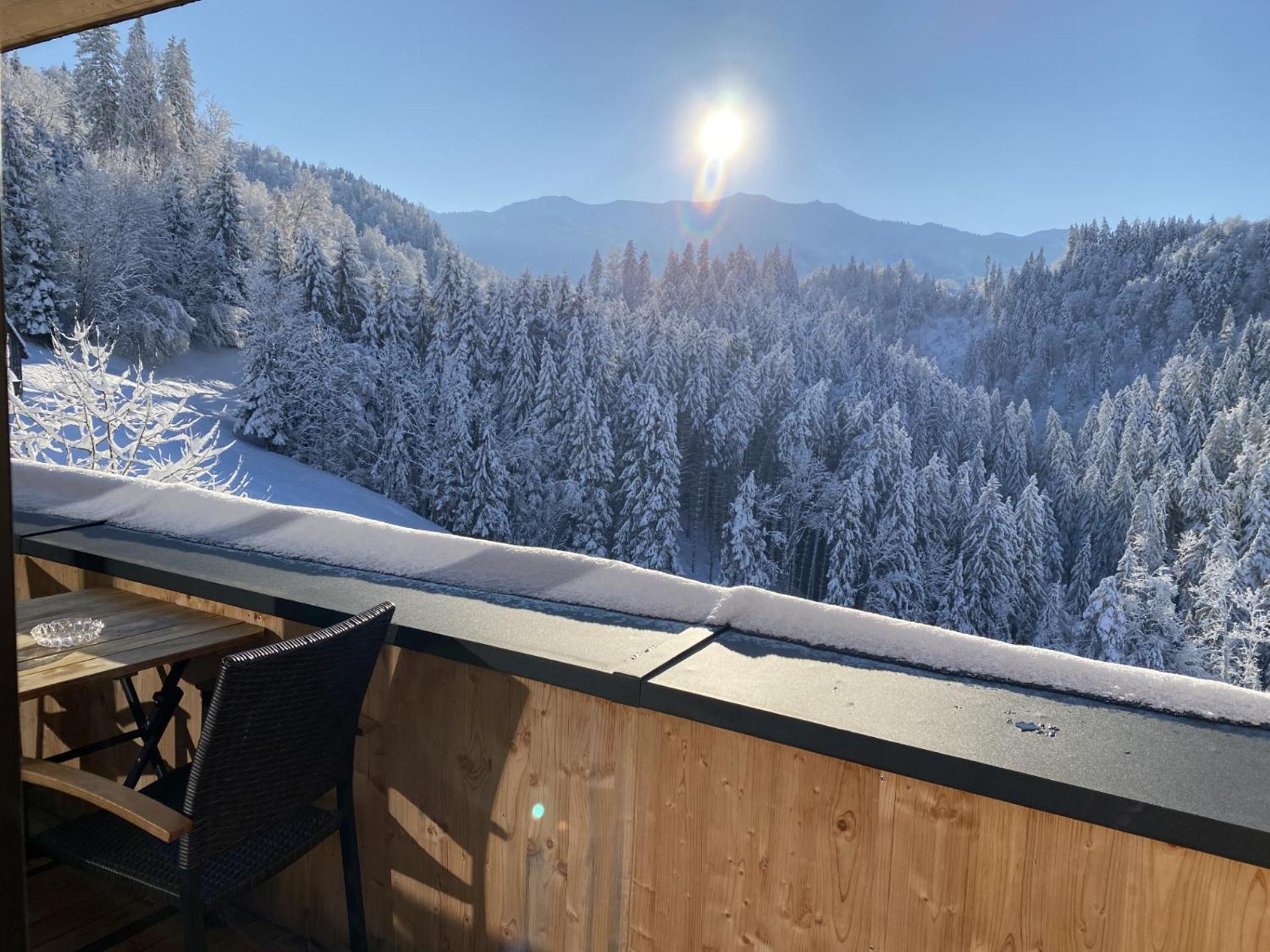 Wohnung Staufenblick Und Wohnung Firstblick Dornbirn Exteriér fotografie