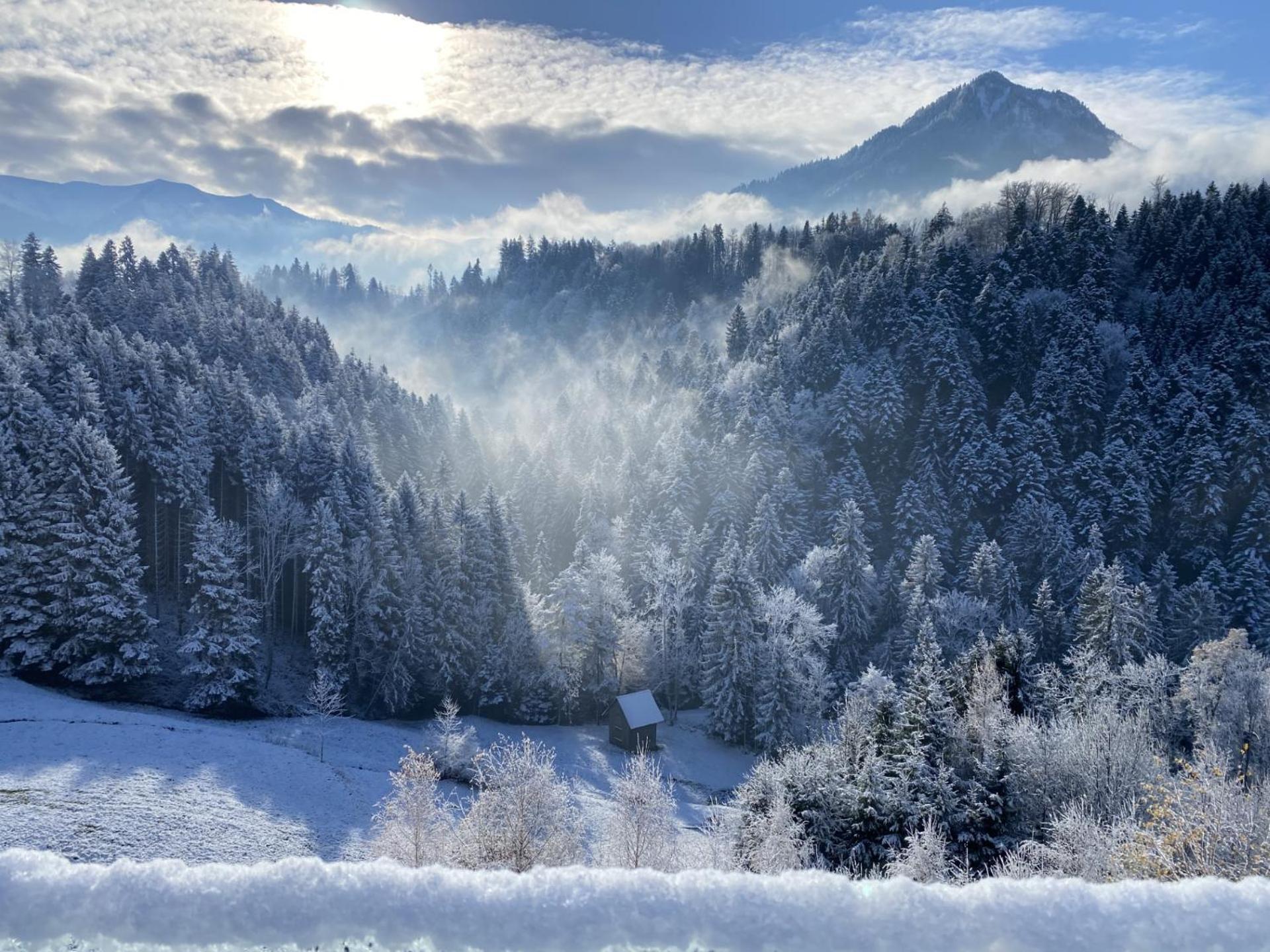 Wohnung Staufenblick Und Wohnung Firstblick Dornbirn Exteriér fotografie