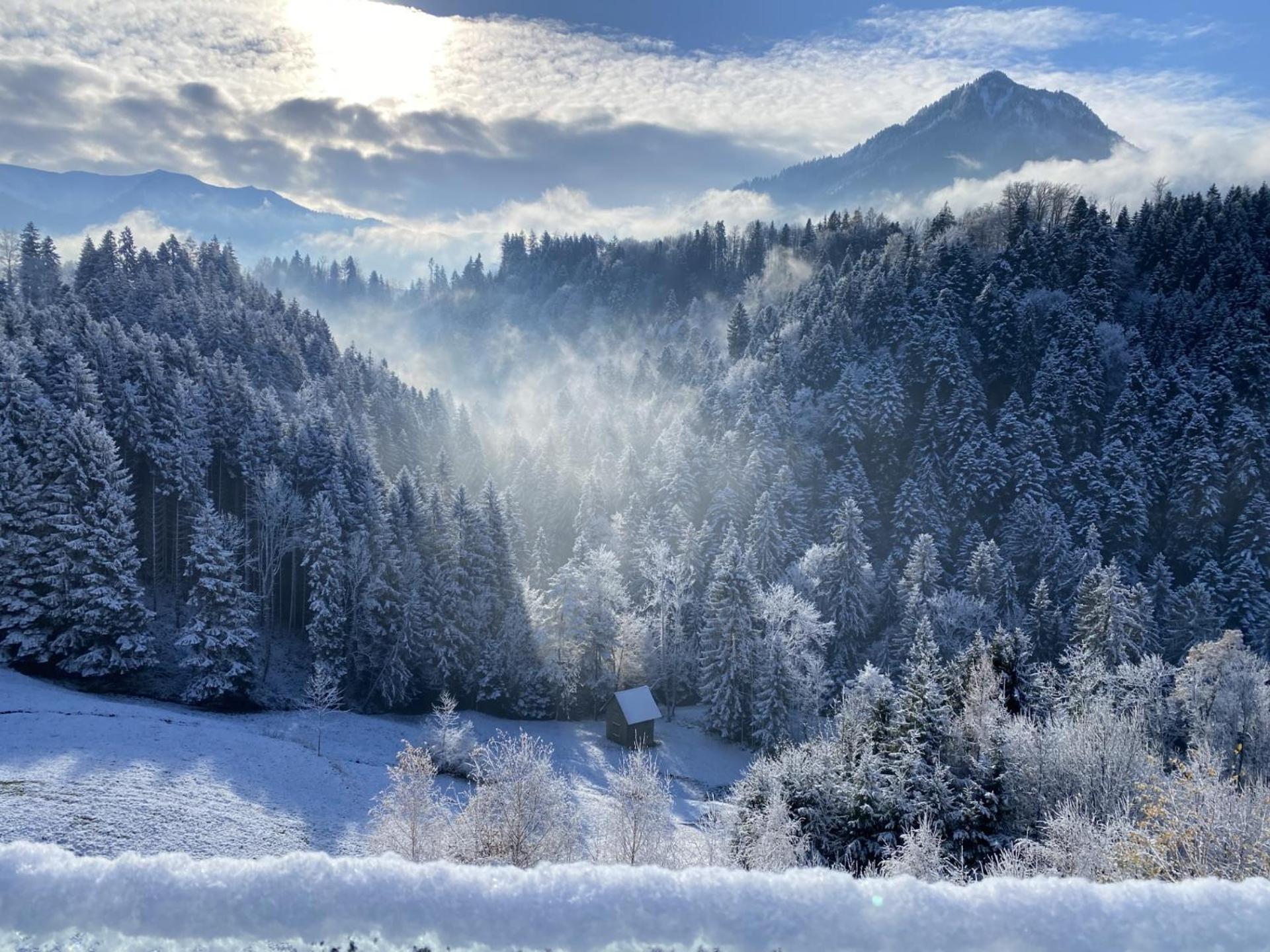 Wohnung Staufenblick Und Wohnung Firstblick Dornbirn Exteriér fotografie